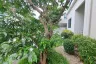 4 Bedroom House for sale in The Lavish, Na Kluea, Chonburi