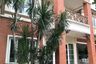 4 Bedroom House for sale in Laddarom Rachaphruk Rattanathibe, Bang Rak Yai, Nonthaburi