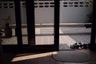 3 Bedroom House for rent in Bang Lamphu Lang, Bangkok near BTS Krung Thon Buri