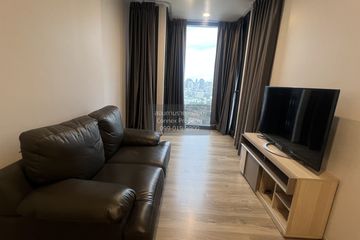 1 Bedroom Condo for rent in OKA HAUS Sukhumvit 36, Khlong Tan, Bangkok near BTS Thong Lo