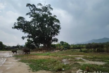 Land for sale in Bang Lamung, Chonburi