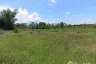 Land for sale in Buak Khang, Chiang Mai