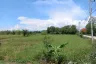Land for sale in Buak Khang, Chiang Mai