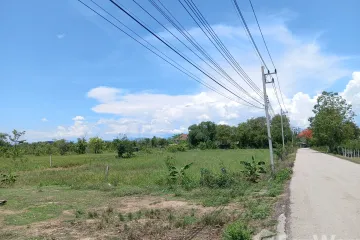 Land for sale in Buak Khang, Chiang Mai