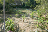 Land for sale in Pa Khlok, Phuket