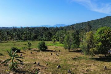 Land for sale in Bo Phut, Surat Thani
