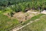Land for sale in Bo Phut, Surat Thani