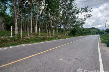 Land for sale in Thep Krasatti, Phuket
