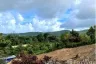 Land for sale in Choeng Thale, Phuket