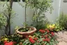 5 Bedroom Townhouse for rent in Khlong Tan Nuea, Bangkok near MRT Sukhumvit
