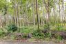 Land for sale in Sai Thai, Krabi