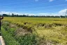 Land for sale in Khok Faet, Bangkok
