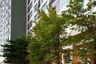 1 Bedroom Condo for sale in Aspire Sukhumvit 48, Phra Khanong, Bangkok near BTS Phra Khanong