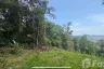 Land for sale in Chalong, Phuket