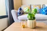 Condo for sale in THE BASE Central-Phuket, Wichit, Phuket