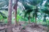 Land for sale in Thap Tai, Prachuap Khiri Khan