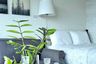 Condo for rent in Unixx South Pattaya, Nong Prue, Chonburi