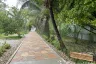 14 Bedroom House for rent in Thep Krasatti, Phuket