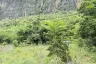 Land for sale in Cha am, Phetchaburi