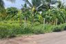 Land for sale in Thap Tai, Prachuap Khiri Khan