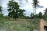Land for sale in Khok Kloi, Phang Nga