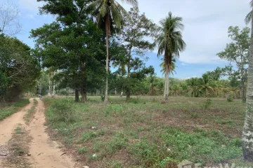 Land for sale in Khok Kloi, Phang Nga