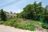 Land for sale in Chom Phu, Chiang Mai