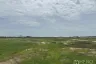 Land for sale in Khlong Khwang, Nonthaburi
