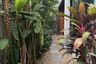 4 Bedroom House for sale in Zerene Petkasem-Buddhamonthon Sai 3, Nong Khang Phlu, Bangkok near MRT Phutthamonthon Sai 3