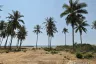 Land for sale in Bo Nok, Prachuap Khiri Khan