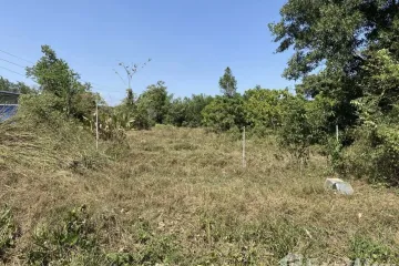 Land for sale in Choeng Thale, Phuket