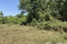 Land for sale in Choeng Thale, Phuket