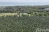 Land for sale in Khok Kloi, Phang Nga