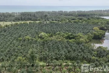 Land for sale in Khok Kloi, Phang Nga