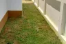 3 Bedroom House for sale in Tha Wang Tan, Chiang Mai