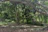 Land for sale in Nong Kae, Prachuap Khiri Khan