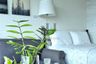 1 Bedroom Condo for rent in Nong Prue, Chonburi