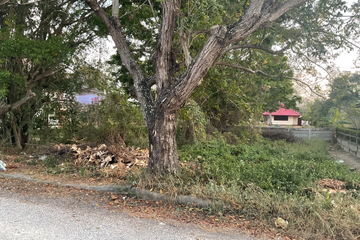 Land for sale in Bang Chong Lagoon Resort, Puek Tian, Phetchaburi