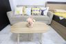 1 Bedroom Condo for rent in PP Condominium, Tha Sala, Chiang Mai
