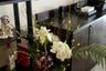 1 Bedroom Condo for sale in Noble Remix, Khlong Tan, Bangkok near BTS Thong Lo