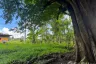 Land for sale in Pa Khlok, Phuket
