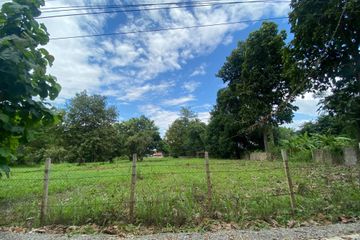 Land for sale in Nong Khwai, Chiang Mai