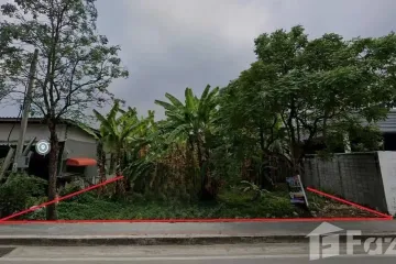 Land for sale in Nong Khaem, Bangkok