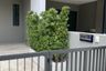 3 Bedroom Townhouse for Sale or Rent in Premium Place Kaset - Nawamin 2, Chorakhe Bua, Bangkok