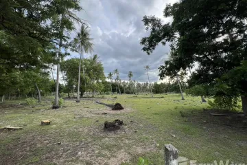 Land for sale in Bo Nok, Prachuap Khiri Khan