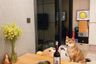 1 Bedroom Condo for sale in M Ladprao, Chatuchak, Bangkok near MRT Phahon Yothin