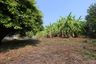 Land for sale in Haiya, Chiang Mai