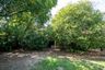 Land for sale in Chang Phueak, Chiang Mai