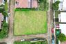 Land for sale in San Phak Wan, Chiang Mai
