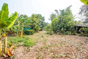 Land for sale in San Phak Wan, Chiang Mai